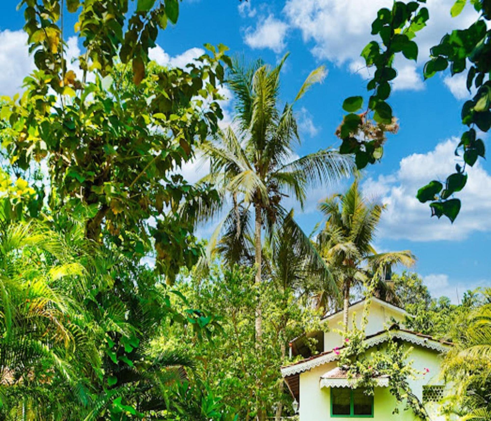 Lar Amorosa Boutique Hotel - Goa Calangute Exteriér fotografie